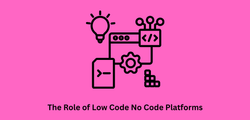 Digital Transformation Challenges and The Role of Low Code No Code Platforms