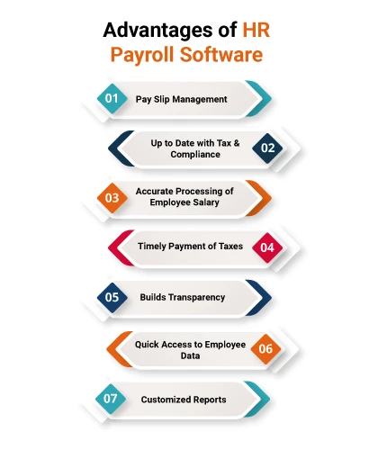 Advantages of HR Payroll Software