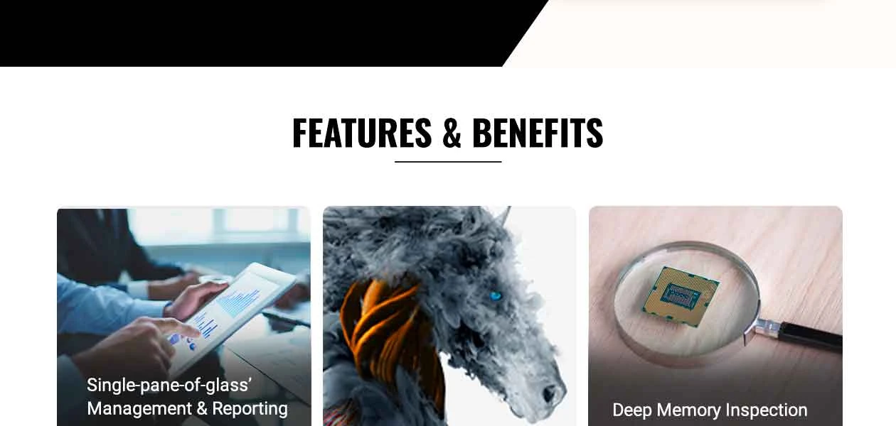 Product Enrichment Section Image