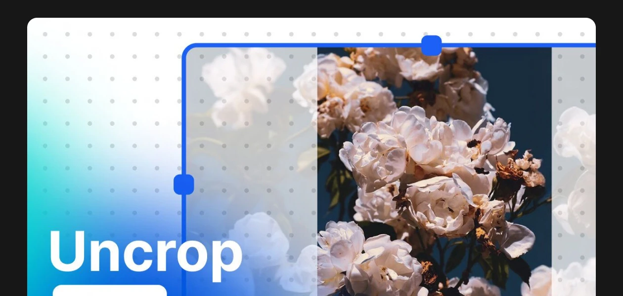 Product Enrichment Section Image