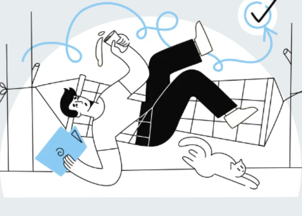 Professional software