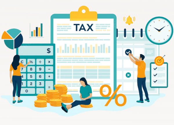 Nitso Asset Specialist