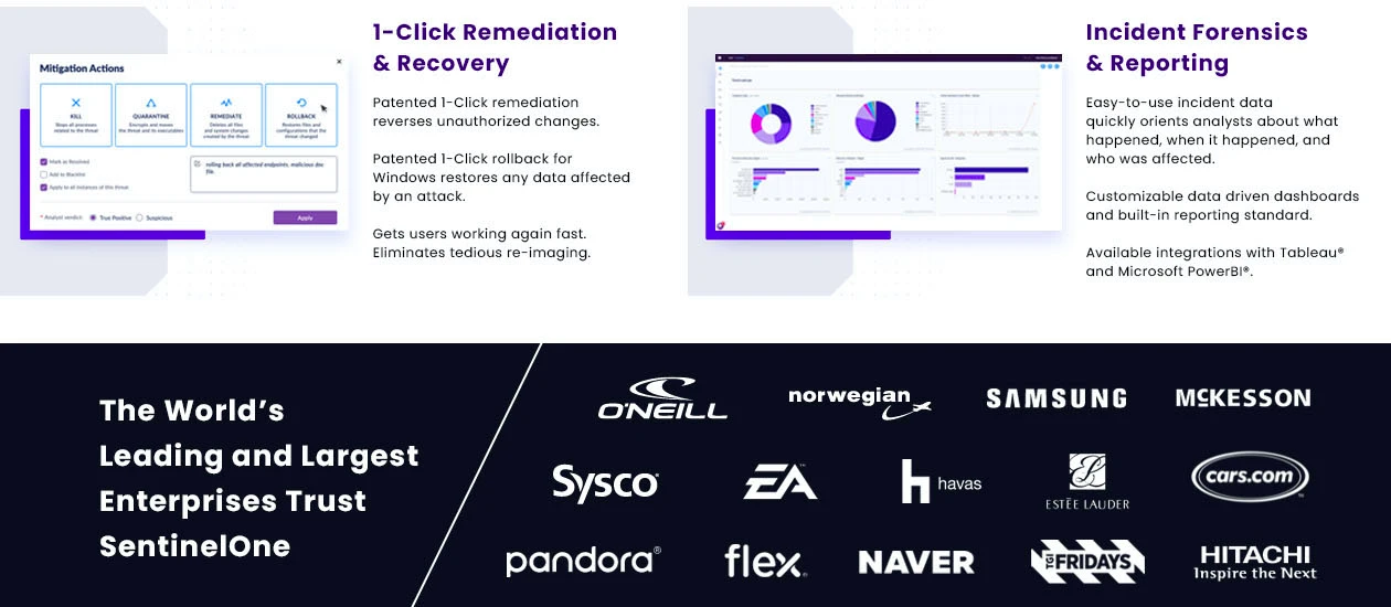Product Enrichment Section Image
