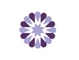 Socialflow