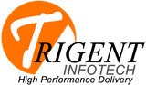 TrigentERP for Manufacturing