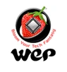 WeP GST