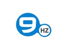 Ninehertz