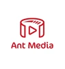 Ant Media Server