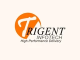 TrigentCRMlogo