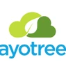 AyoTree
