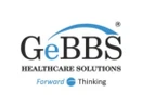 GeBBS HIM Solutions GeBBS HIM Solutions