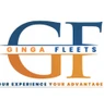 Ginga Fleets