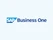 Cogniscient SAP Business One