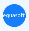 Eguasoft POS