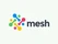 Mesh AI