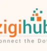 Zigihub