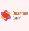 Checkpoint Quantum Spark