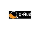 Q-Aud - Digital Auditing Solution