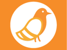 Pigeonhole Live Pigeonhole Live