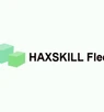 Haxskill Fleet