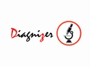 Diagnizer Diagnizer