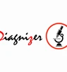 Diagnizer