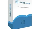 Hybrid MLM