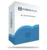 Hybrid MLM