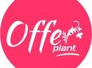 OfferPlant Bine