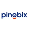 Pingbix