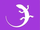Quizgecko Quizgecko