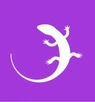 Quizgecko Quizgecko