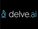 Delve AI Delve AI