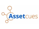 AssetCues AssetCues