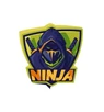 Ninja Data Recovery Software