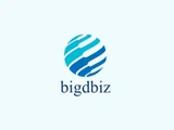BigdbizSolutions