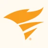 Kiwi Syslog Server-