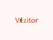 Vizitor Meeting