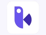 BirdviewPMSLogo