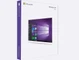 WIndows 10 Professional