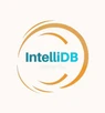 IntelliDB IntelliDB