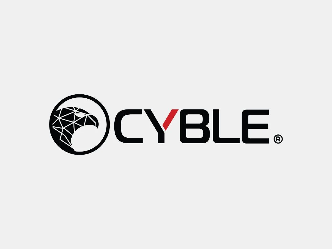 Cyble Visionlogo