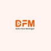 Data Flow Manager-