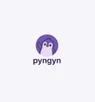 Pyngyn