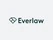 Everlaw