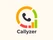 Callyzer