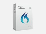 DragonProfessionalIndividuallogo