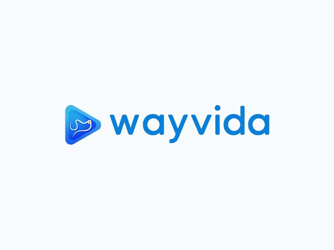 Wayvidalogo