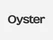 Oyster EOR