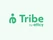 Tribe CRM